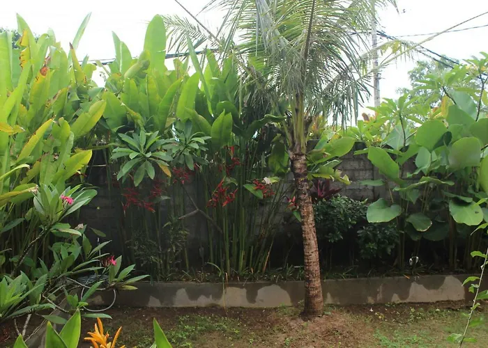 Paranyogan 2 Jimbaran